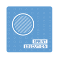 sprint execution
